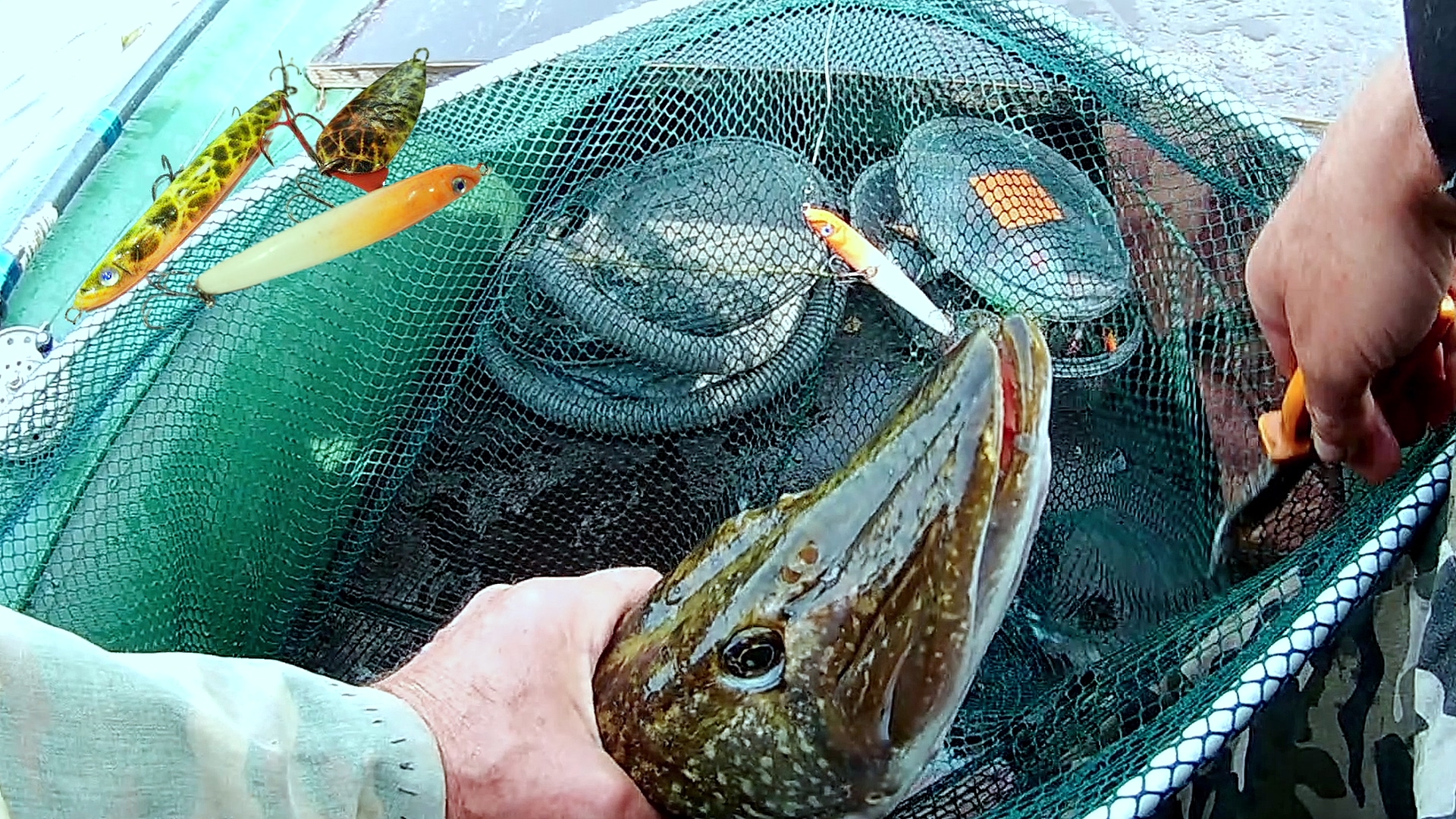 Angler from Tip of the Hook catching fish on a scenic river with handmade fishing lure